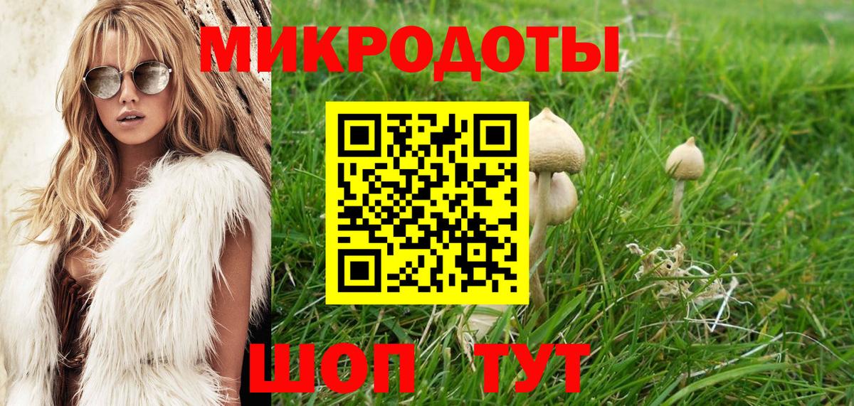 Домодедово  Галлюциногенные грибы Psilocybe  Вход с VPN 